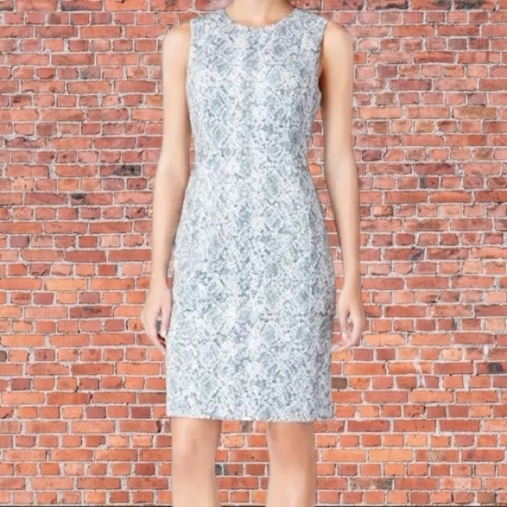 Calvin Klein Gray Python Snake Print Vegan Suede Textured Sleeveless Midi Dress